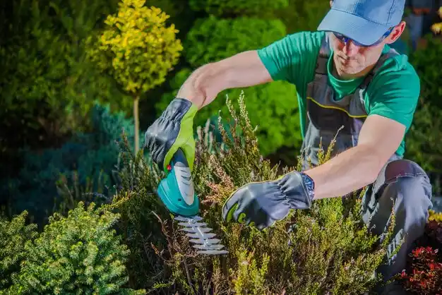 landscaping services Shinnecock Hills